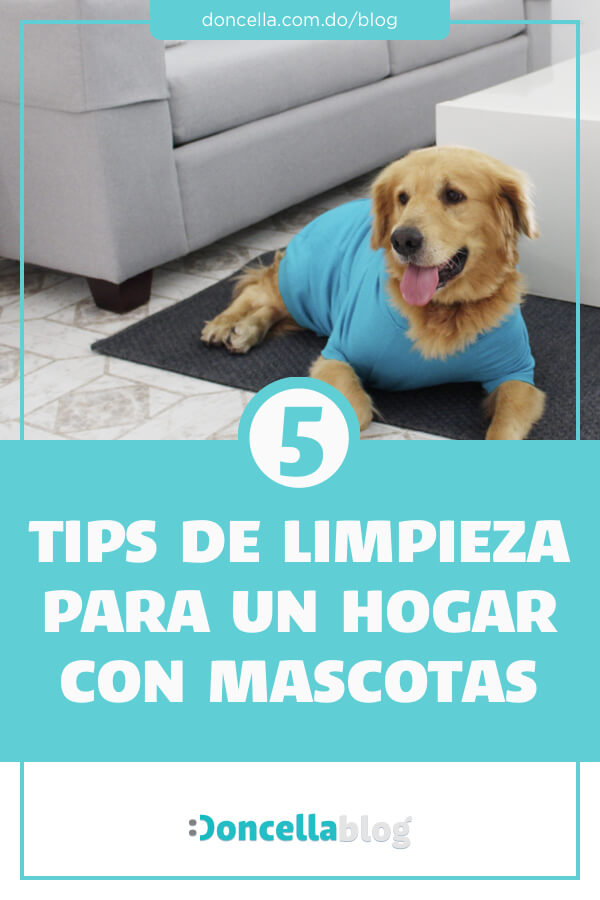 Tips de limpieza para un hogar con mascotas | Doncella Blog
